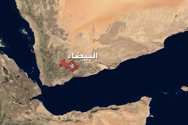 دستاوردهاي چشمگير نيروهاي يمني در جبهه البيضاء