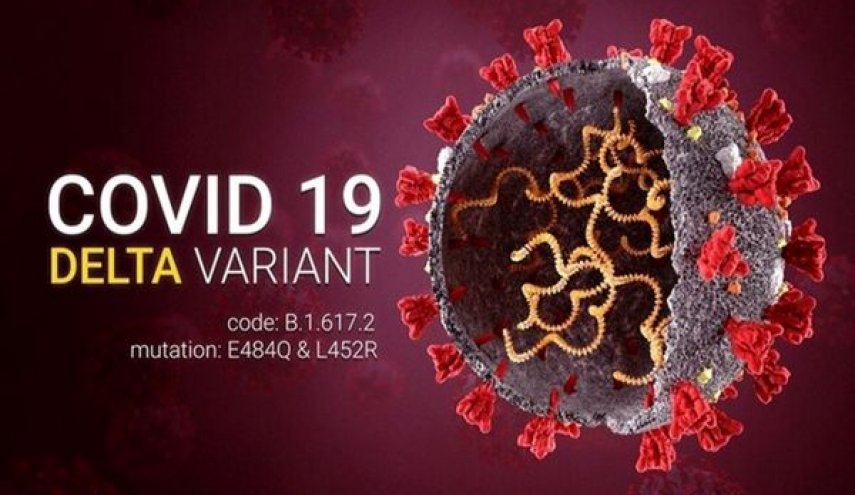 الصحة العالمية: هذا هو 