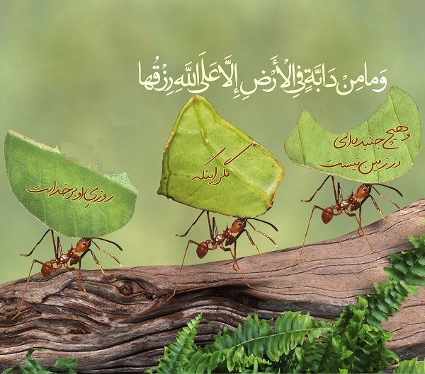 منظور از «دابة الارض» در سوره نمل چیست؟