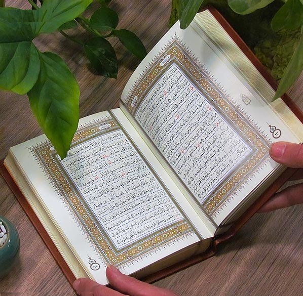 14 اعجاز علمي قرآن در تفسير نمونه