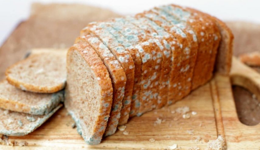 «عفن الخبز» بين الفوائد والأضرار 