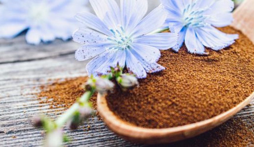 لن تصدق.. فوائد مذهلة لقهوة الهندباء