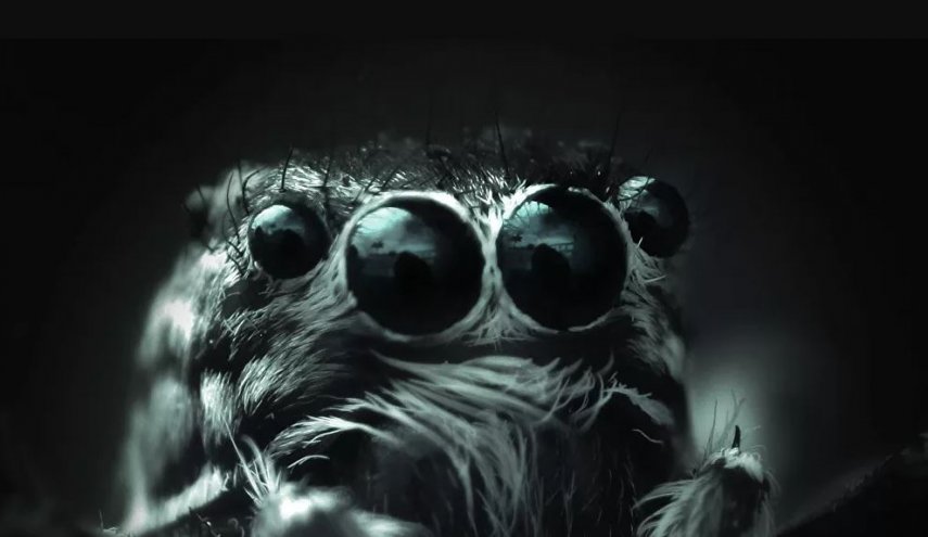 شاهد.. ظهور مخلوقات غريبة من عصور ما قبل التاريخ في أمريكا!