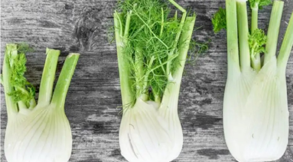 تأثيره كمفعول الأسبرين.. فوائد مذهلة لنبات الشمر