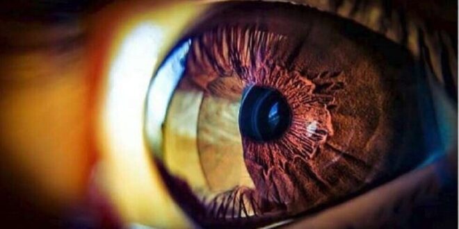 7 علامات يشير ظهورها إلى تدهور الرؤية وتقهقر البصر