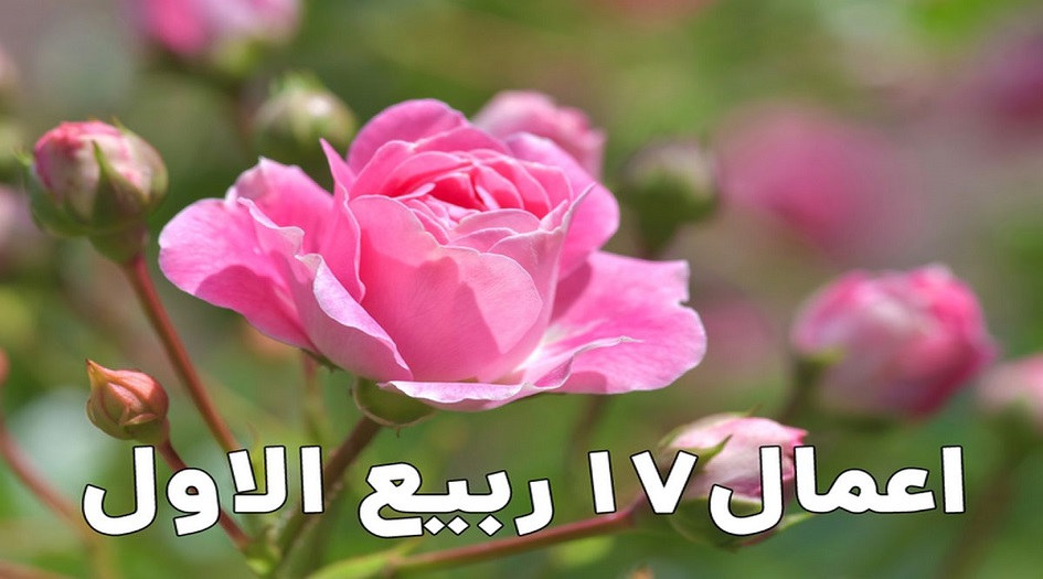 أعمال 17 ربيع الأول كاملة مكتوبة