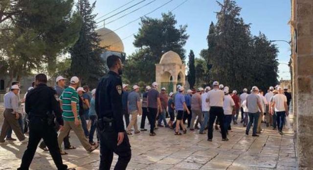 فلسطين المحتلة... 400 مستوطن يقتحمون “خلة النحل” جنوب بيت لحم