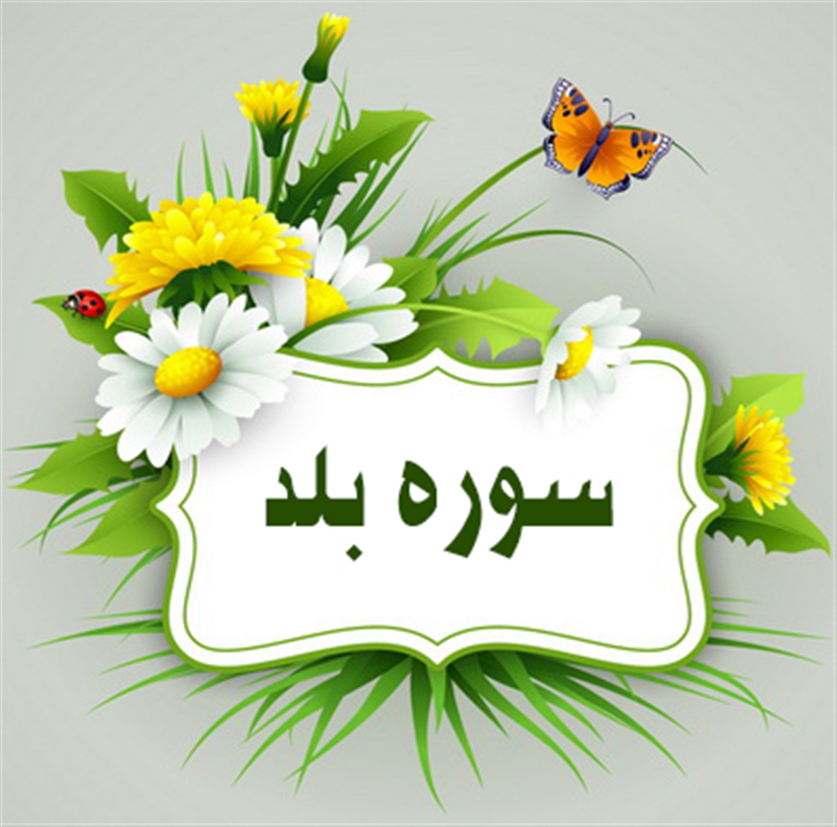 سوره بلد، سوره‌ای که اشاره به مکه دارد 
