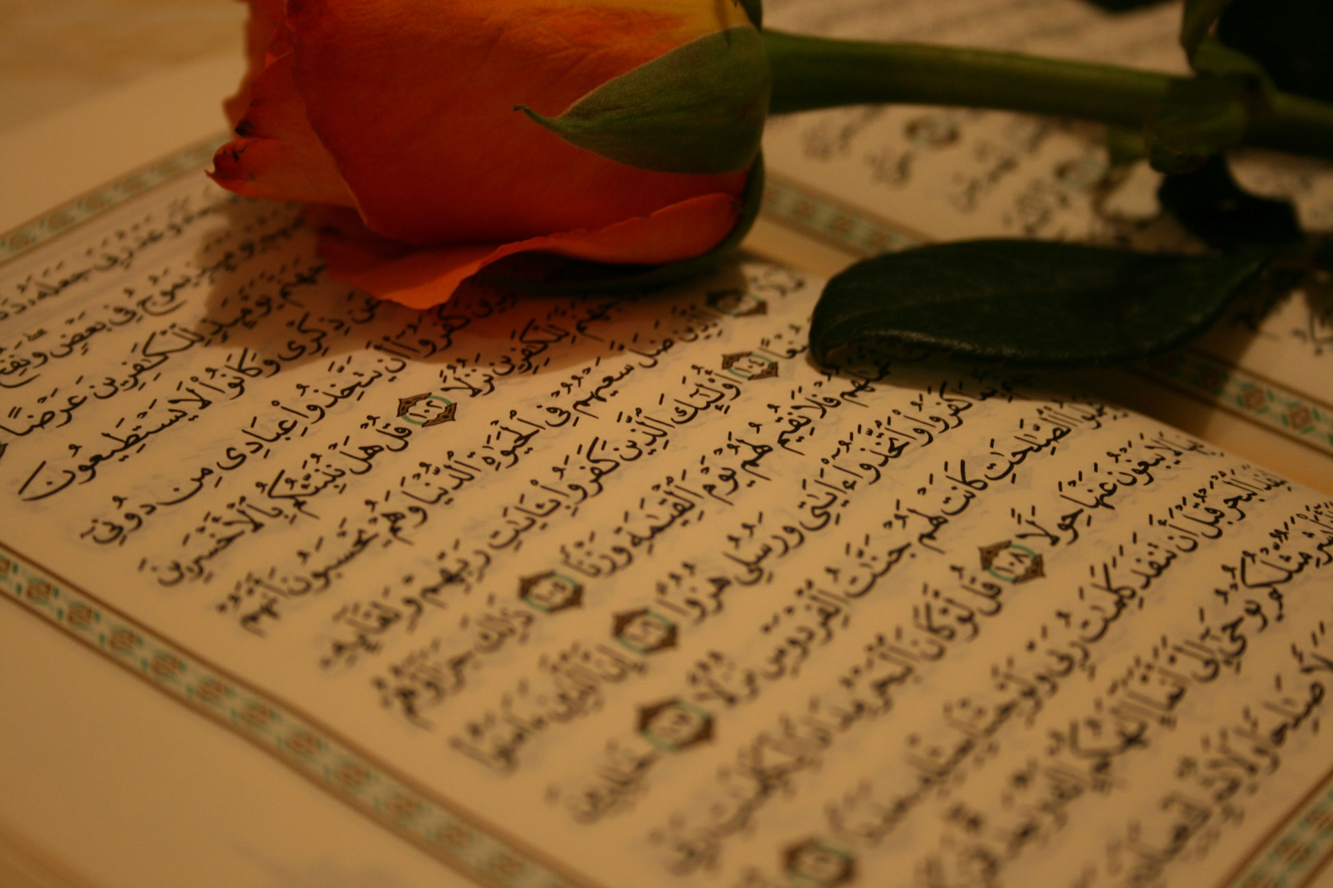 امام علی(ع) مامور تلاوت کدام سوره برای مشرکان شد؟