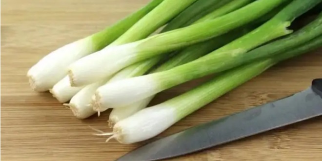 فوائد لايمكن تصورها للبصل الأخضر.. ستدهشك
