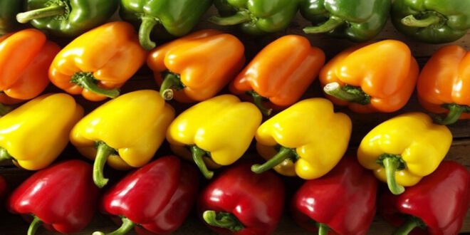 الفلفل الحلو كنز من الفيتامينات والفوائد