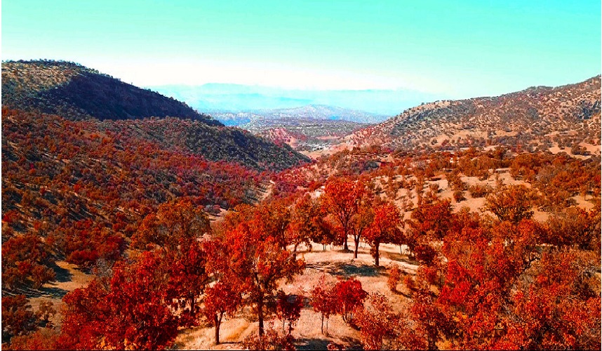  بالصور .. الخريف في محافظة كهكيلوية وبوير أحمد الايرانية