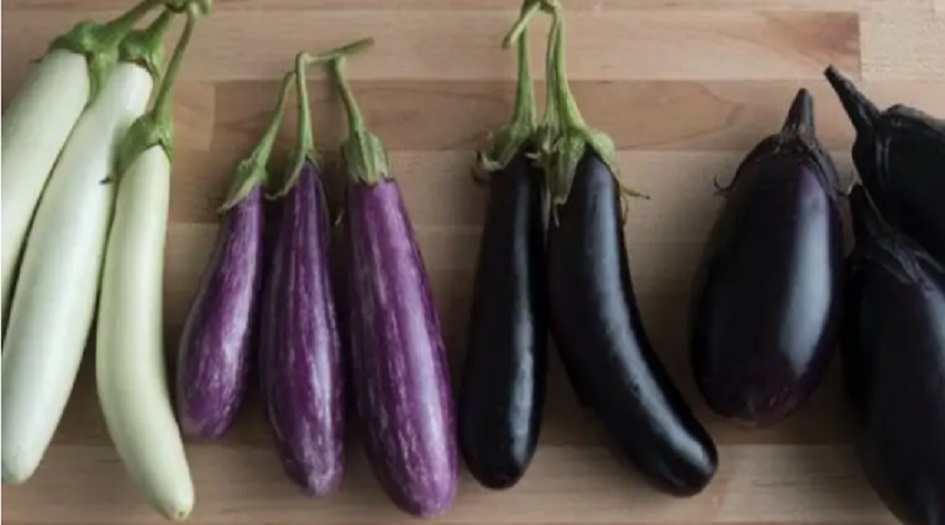 فوائد ستسمعون بها لأول مرة عن الباذنجان!