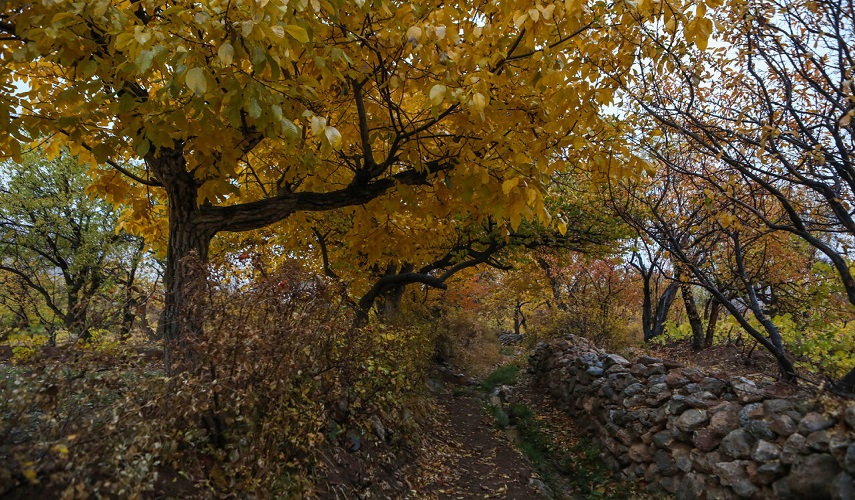 بالصور.. جمال الخريف في اراك (وسط ايران)