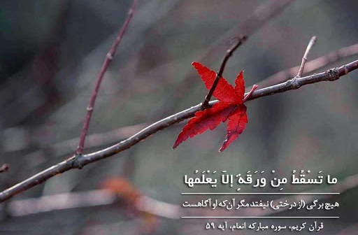 گستره علم الهی چقدر است؟