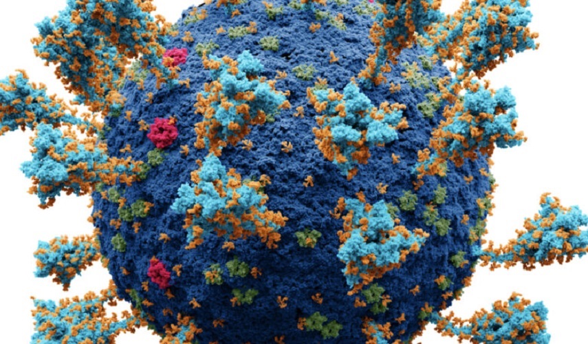  تسجيل أول وفاة بـ"أوميكرون" بولاية تكساس الأمريكية 