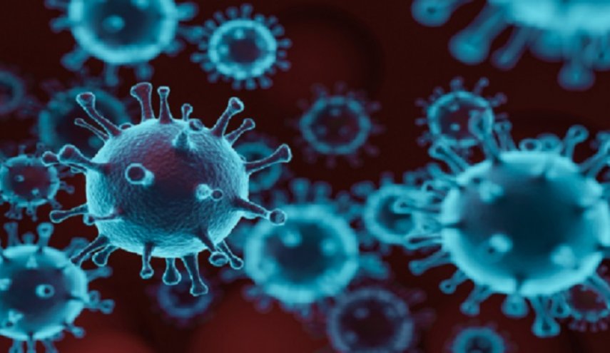 كشف خطورة الإصابة بالفيروس التاجي المستجد على الكلى