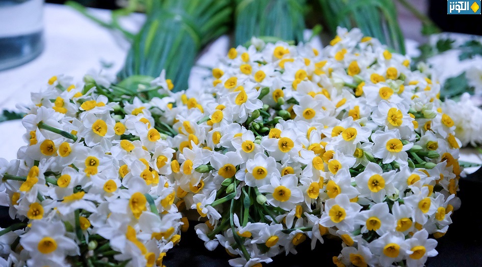 حباً بأنيس النفوس ....نرجس أهالي بهبهان يهدى إلى العتبة الرضوية المقدسة