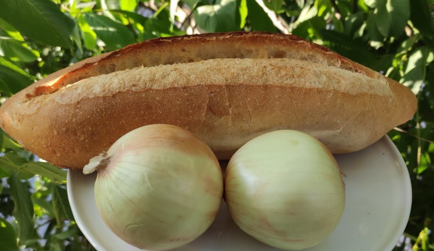 مقال بصحيفة مقربة من أردوغان عن فوائد تناول الخبز والبصل يثير جدلا واسعا