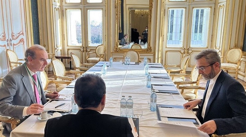 باقري كني يلتقي منسق اللجنة المشتركة للاتفاق النووي