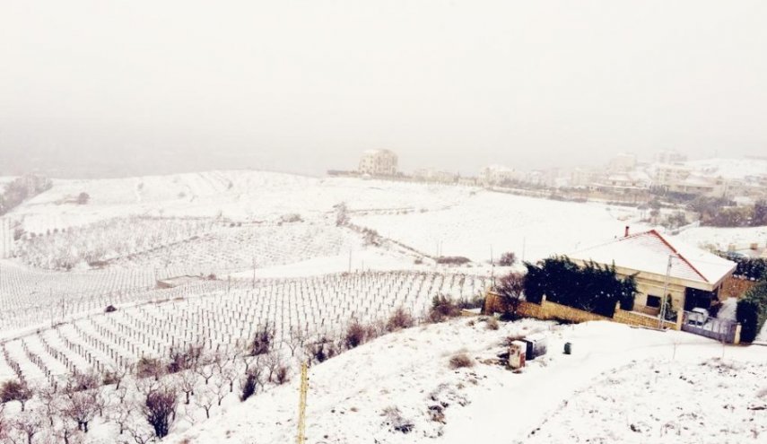 لبنان.. العاصفة هبة تبلغ ذروتها ليلا والثلوج تلامس ال 600 متر وتنحسر تدريجيا غدا