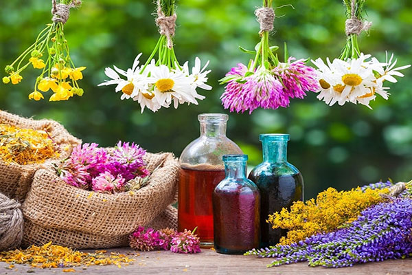 خواص گیاهان دارویی که فصل بهار می‌رویند