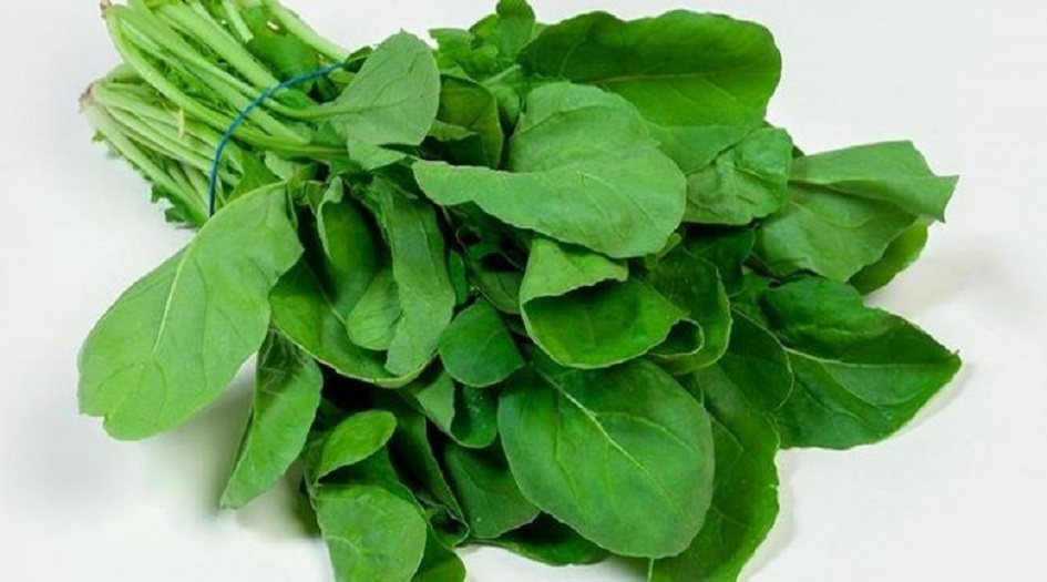 فوائد مذهلة “للجرجير”