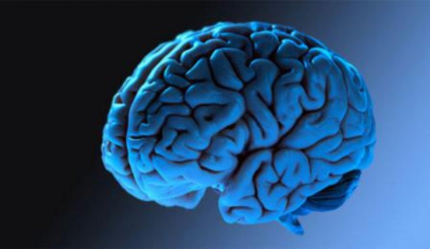 روبوتات صغيرة لعلاج أدمغة البشر