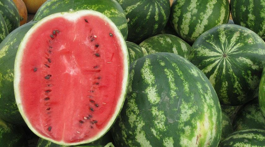  تناول البطيخ.. هل هو مثالي لخسارة الوزن؟ 