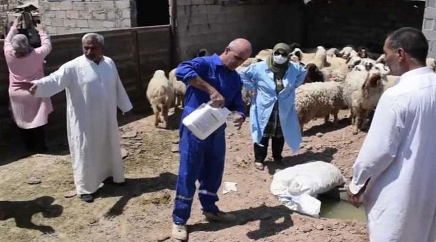 الصحة العراقية: نسب الوفيات لدى إصابة الانسان بالحمى النزفية تصل إلى 40 بالمئة