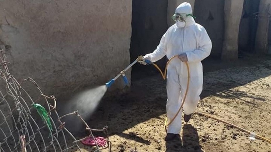 الصحة العراقية: لا لقاح ضد الحمى النزفية.. وتحدد العلاج الوحيد