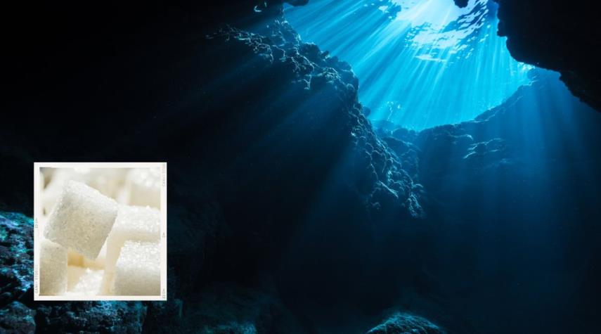  اكتشاف “جبال من السكر” مخبأة في نباتات المحيط!
