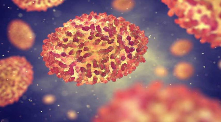 كل ما تريد معرفته عن "جدري القرود".. الأعراض والعلاج!