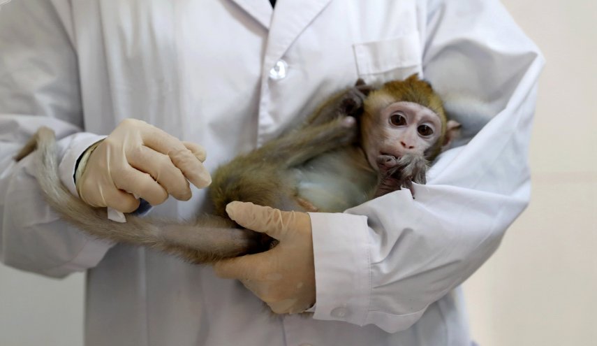 أستراليا.. تسجيل أول حالة إصابة محتملة بجدري القرود