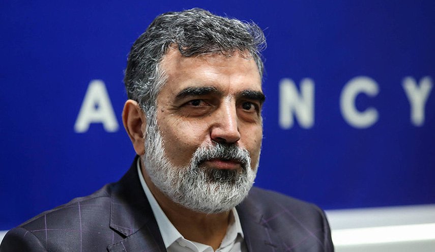 كماندوي: نحن ملتزمون بالضمانات امام الوكالة الدولية للطاقة الذرية