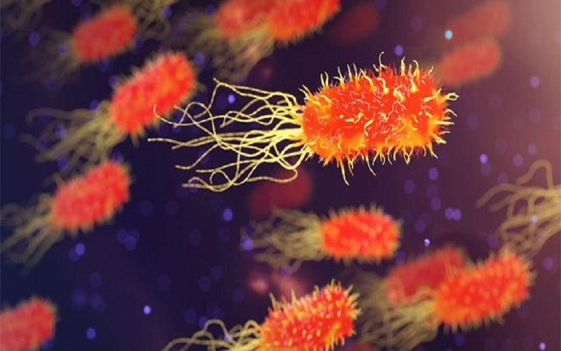 دولة اوروبية تسجل اول حالة اصابة بالكوليرا بعد 43 عاما