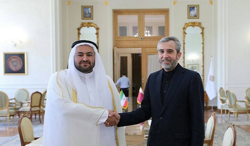 باقري كني: قتل الأطفال أصبح قاعدة سيادية بيد الصهاينة