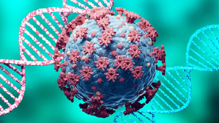 مراقب باشید؛ اُمیکرون پشت دروازه‌های ایران