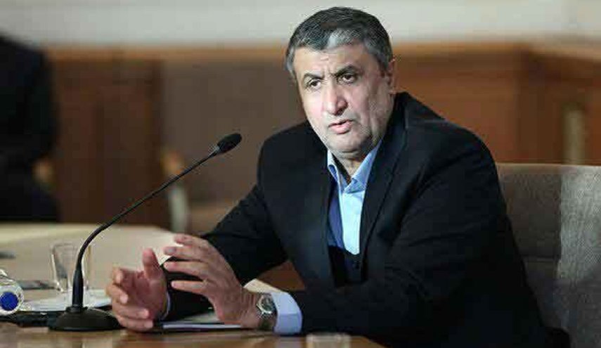 رئيس منظمة الطاقة : سوف نزيد من تأثير الطاقة النووية في مختلف المجالات