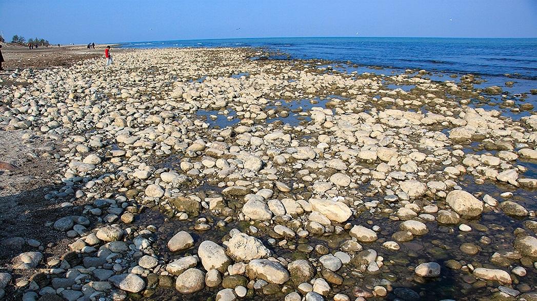 پسروی دریای مدیترانه پس از زمین لرزه ترکیه