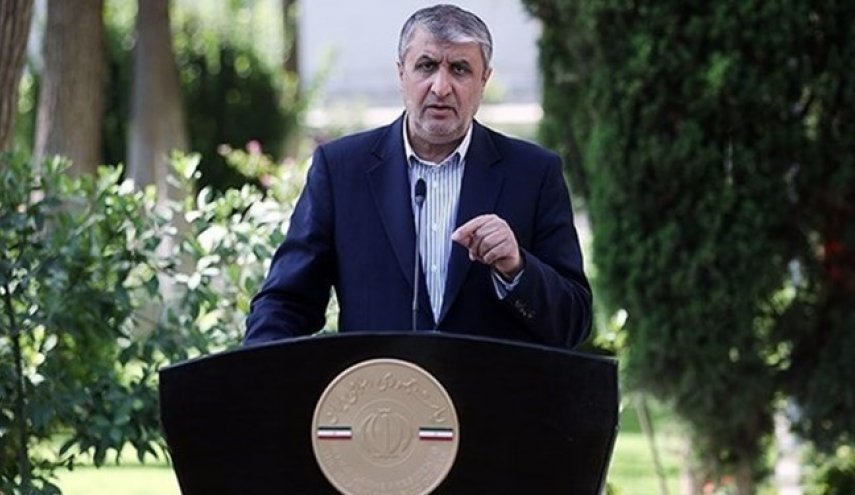  إسلامي: الإنجازات النووية حققها العلماء الإيرانيون الشباب