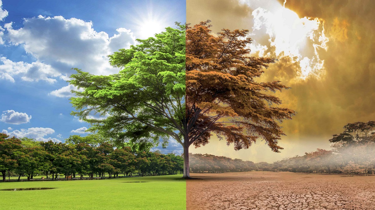 ژوئیه امسال، گرم‌ترین ماه زمین از سال 1880 تاکنون اعلام شد