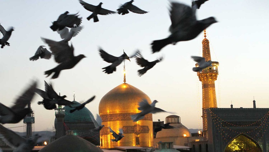 امام رضا (ع) از تولد تا شهادت