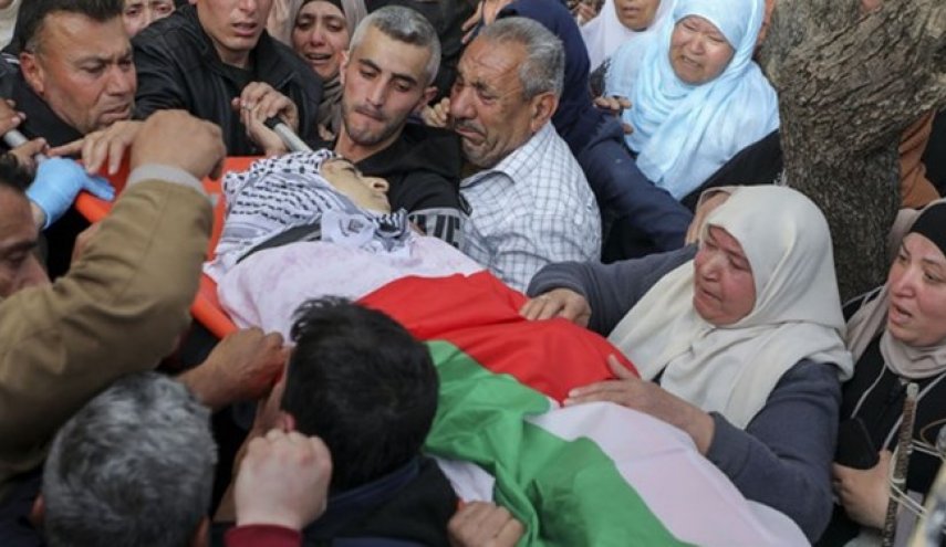 232 شهيداً و1697 جريحاً جراء عدون الاحتلال على غزة 