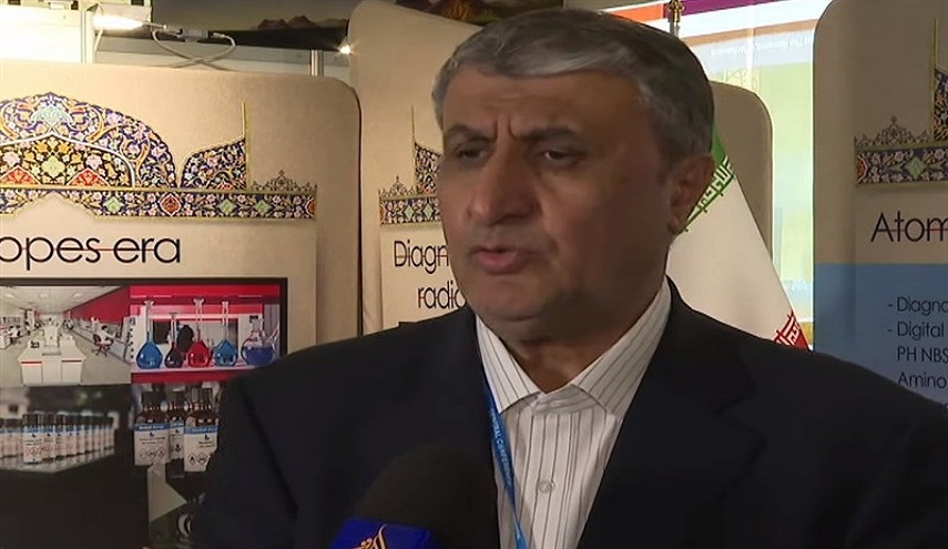  إسلامي : الوكالة الدولية تحولت إلى أداة بيد القوى الغربية 