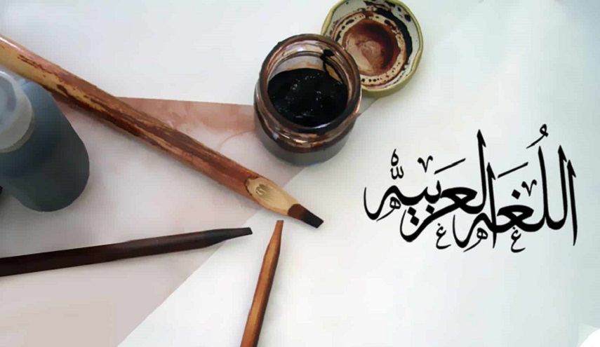 الدكتورة سناء شعلان: اللّغة العربية تريد بندقيّة ومصنعاً وغزّة