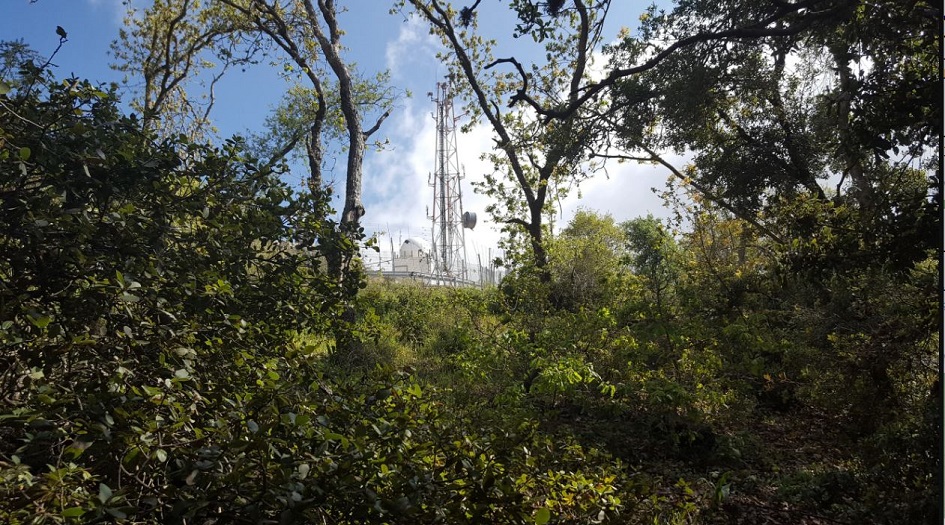 ردا على اغتيال الشيخ  العاروري... حزب الله يستهدف مواقع اسرائيلية 