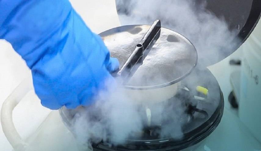 ايران مركز لتقديم العلاج للأزواج المصابين بالعقم في جميع أنحاء العالم