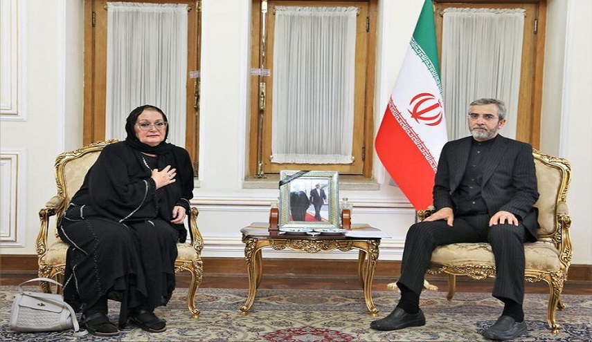  باقري: الاواصر القلبية بين شعبي إيران والبوسنة والهرسك حقيقة ثابتة 