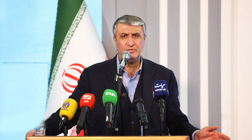  رئيس مؤسسة الطاقة الذرية محمد اسلامي: تصميم 12 مركزا للتشعيع في البلاد 